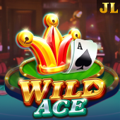 Wild Ace - Starfox game